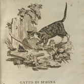 GATTO