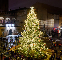 Albero di Natale 2022
