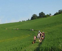 una passeggiata insieme su di un prato