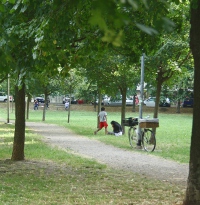 Scene in un parco cittadino